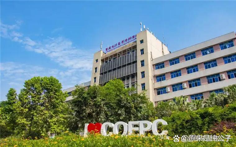 人生开卷考# 重庆电力高等专科学校